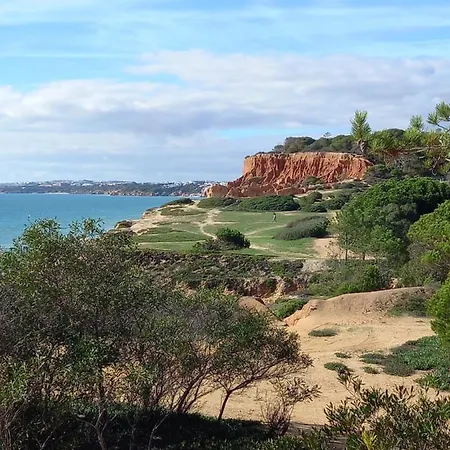 Paradise On The Σπίτι διακοπών Αλμπουφέιρα