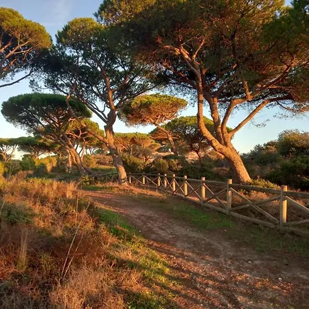 Paradise On The Ferienhaus