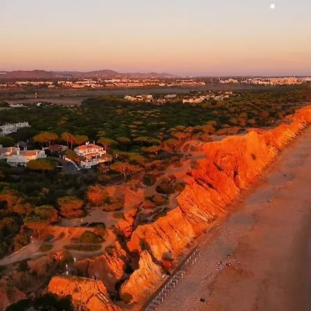 Paradise On The 펜션