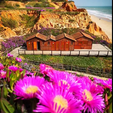 펜션 Paradise On The 알부페이라