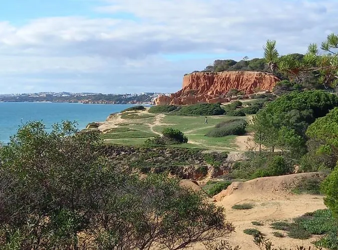Paradise On The Hébergement de vacances Albufeira