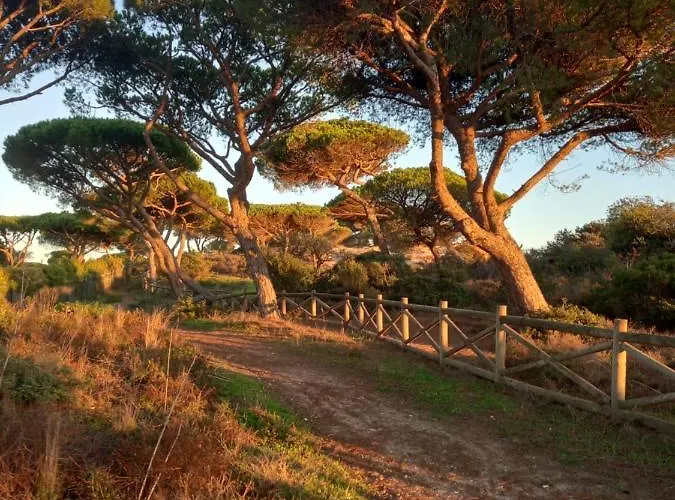 Paradise On The Hébergement de vacances